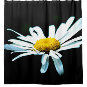 Weiße Gänseblümchen-Blüte Duschvorhang