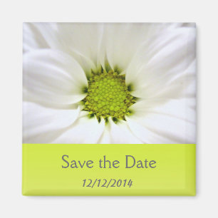 weiße Gänseblümchen Hochzeiten Magnet
