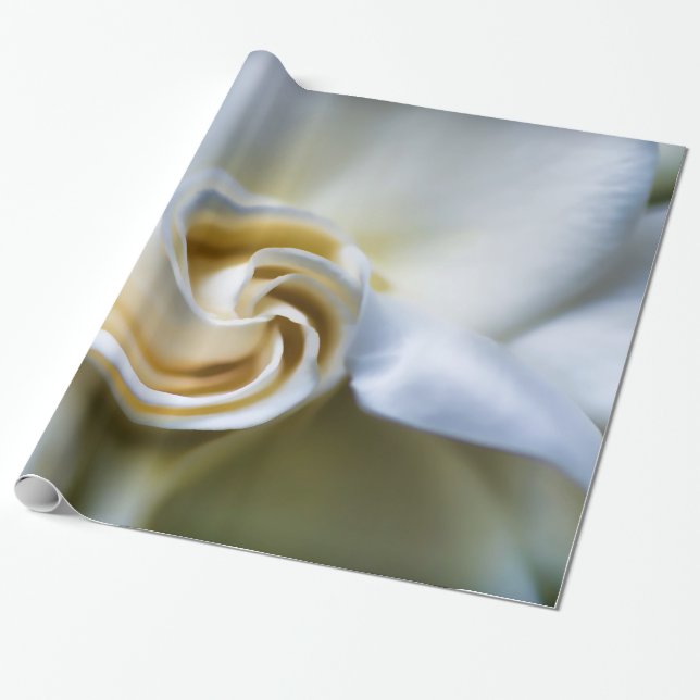 Weiße Gardenia-Illustration Geschenkpapier (Ungerollt)
