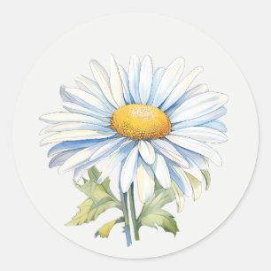Weiße Gartendaisy-Blume Florale Kunst Runder Aufkleber