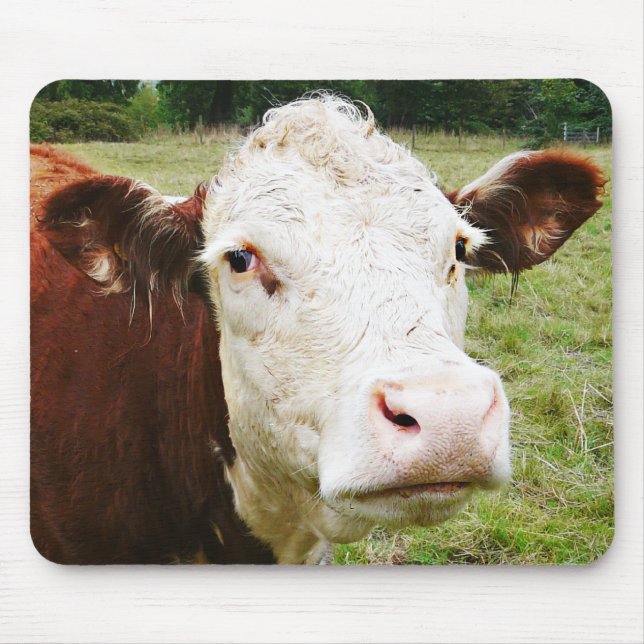 Weiße gegenübergestellte Rindfleisch-Kuh Mousepad (Vorne)