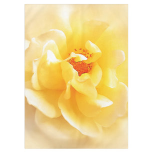 Weiße gelbe Rose weiche helle Farben Tischdecke