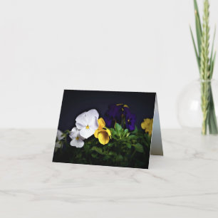 Weiße Gelbe und Violette Stiefmütterchen Karte