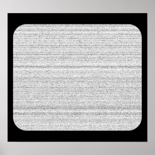 Weiße Geräusche. Schwarzweiss-Snowy-Korn Poster