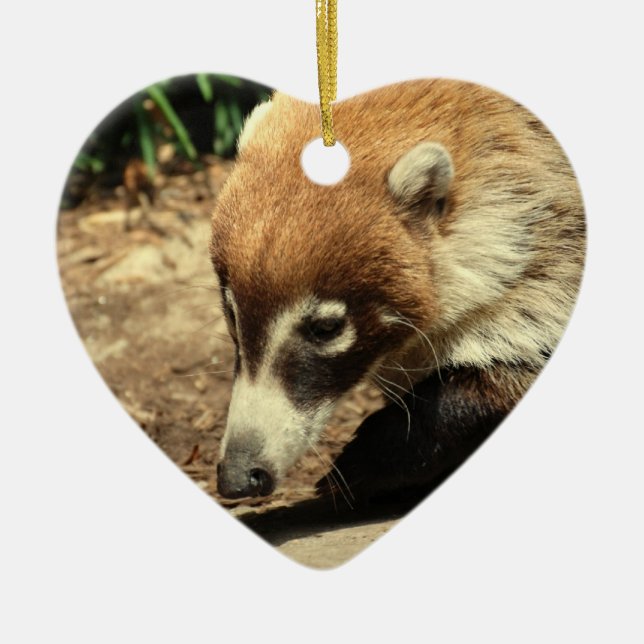 Weiße gerochene Coati-Verzierung Keramik Ornament (Vorne)