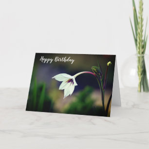 Weiße Gladiolus-Gartenblume Alles Gute zum Geburts Karte