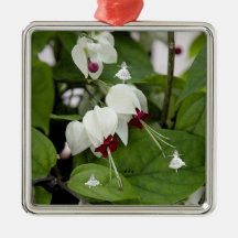 Weiße Glocken Schattenmühle