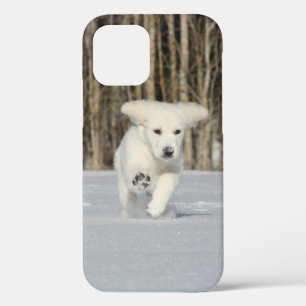 Weiße, goldene Retriever Welpe im Schnee Case-Mate iPhone Hülle