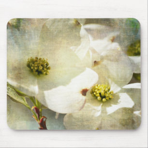 Weiße Hartriegel-Blumen Mousepad