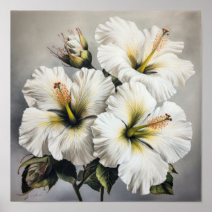 Weiße Hibiskus-Blumen-Kunstposter Poster