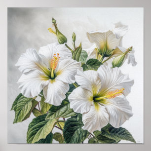 Weiße Hibiskus-Blumenkunst Druck Poster