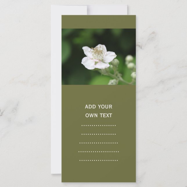 Weiße Himbeere Blume. (Vorderseite)