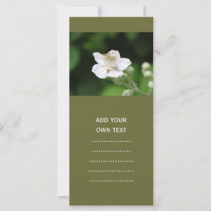 Weiße Himbeere Blume.