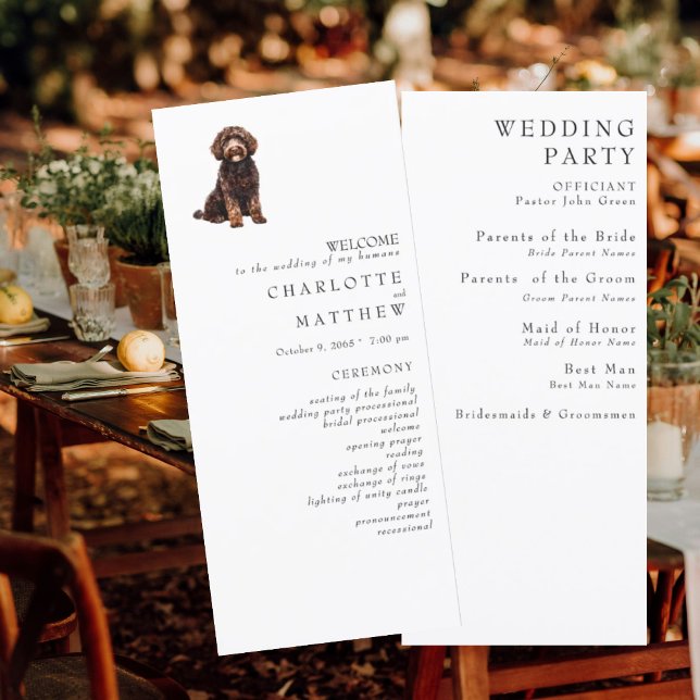 Weiße Hochzeitsprogramm für Haustiere (Von Creator hochgeladen)