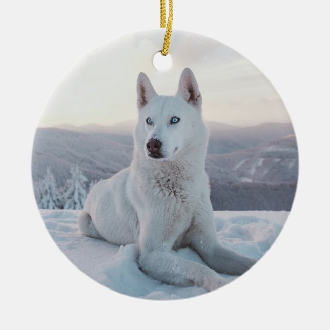 Weiße Husky-Hunde im Schnee Keramik Ornament (Vorne)