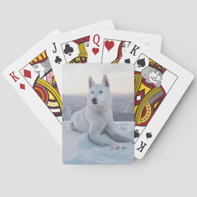 Weiße Husky-Hunde im Schnee Spielkarten (Rückseite)