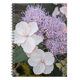 Weiße Hydrangea Aspera Blume Floral Notizblock