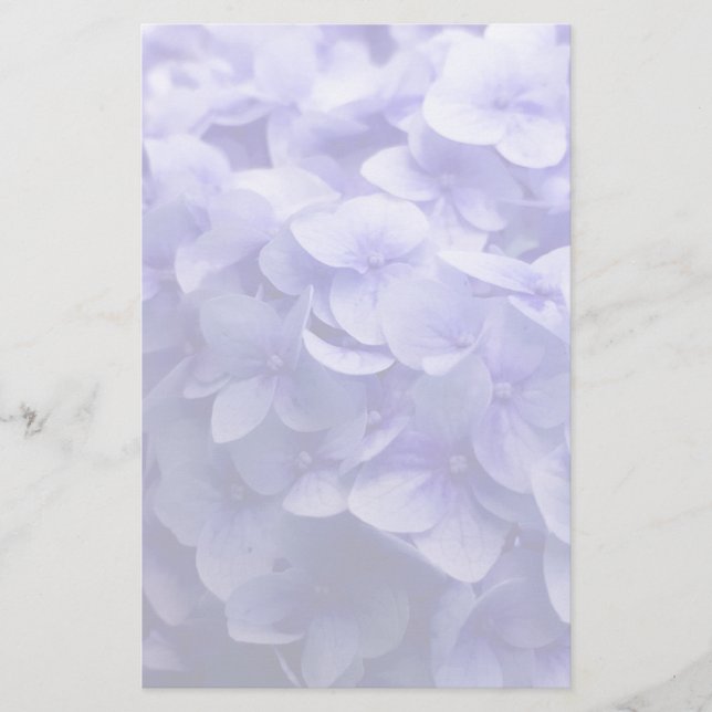 Weiße Hydrangea-Blume Briefpapier (Vorderseite)
