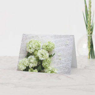 weiße Hydrangeas mit Skriptschreibens-Grußkarte Karte