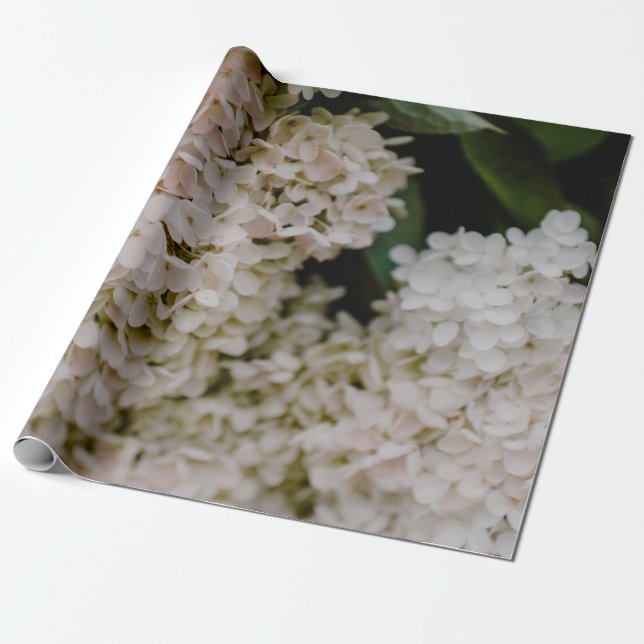 WEISSE HYDRANGEE IM BLOOM GESCHENKPAPIER (Ungerollt)