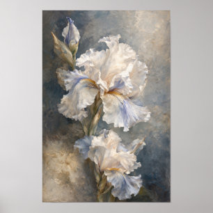 Weiße Iris Fine Art Florale Wandkunst Poster
