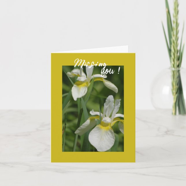 Weiße Iris - Vermisse Dich Karte (Vorderseite)