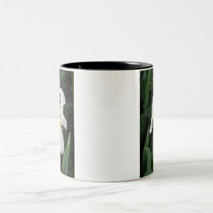 Weiße Iris Zweifarbige Tasse