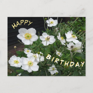 Weiße Japanische Anemonen Alles Gute zum Geburtsta Postkarte