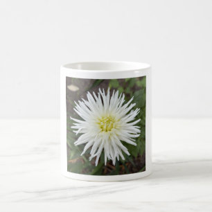 Weiße Kaktus-Dahlie Blumen-Tasse Kaffeetasse