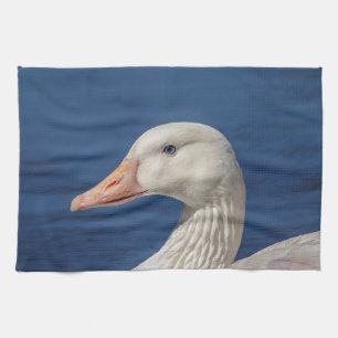Weiße kanadische Gänse Geschirrtuch