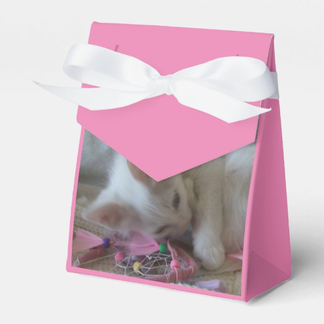 Weiße Kätzchen Gefallenheitsboxen Geschenkschachtel (Vorderseite)