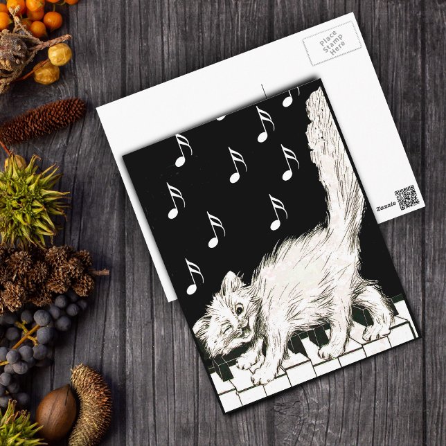 Weiße Katze auf Klaviertasten Postkarte (White winking cat walking on piano keys music notes on black and white post card.)