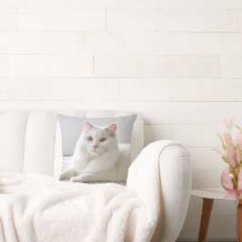 Weiße Katze auf weißem Teppich Kissen