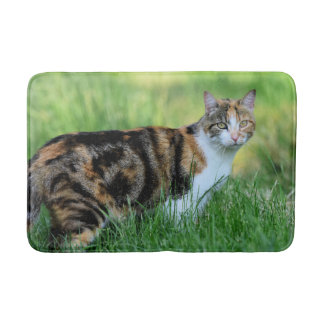 Weiße Katze Badematte