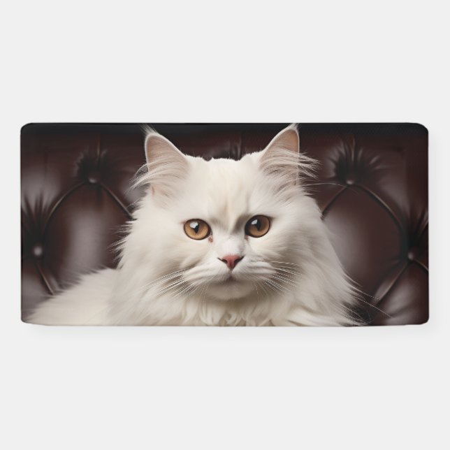 Weiße Katze Banner (Horizontal)