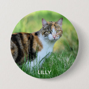 Weiße Katze Button