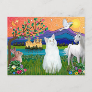 Weiße Katze - Fantasie Land Postkarte
