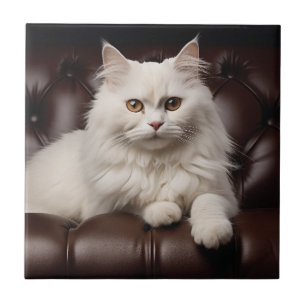Weiße Katze Fliese