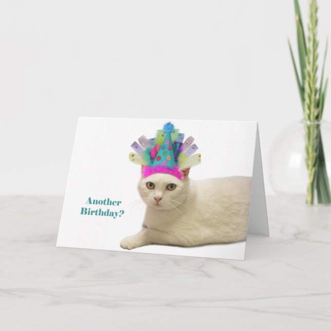 Weiße Katze Geburtstag Karte (Vorderseite)