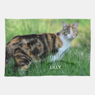 Weiße Katze Geschirrtuch