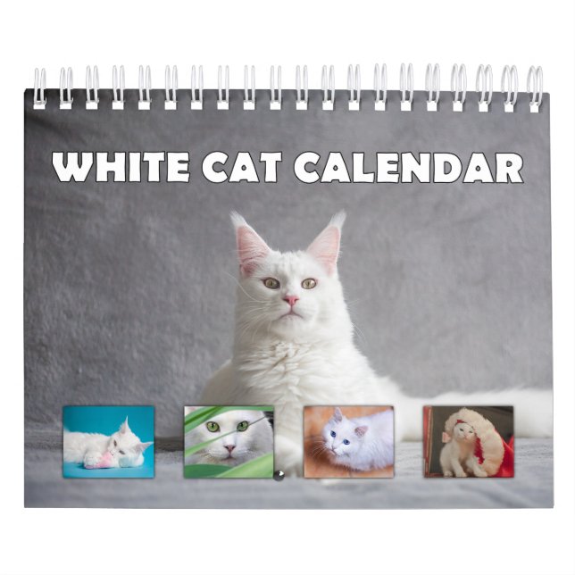 Weiße Katze Kalender (Titelbild)