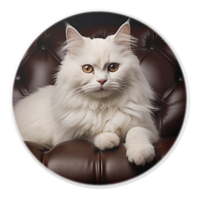 Weiße Katze Keramikknauf (Vorderseite)