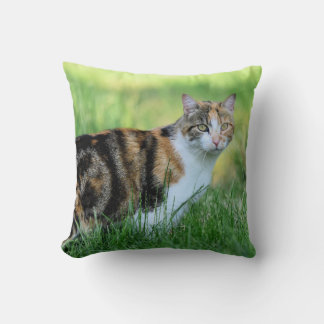 Weiße Katze Kissen