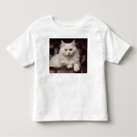 Weiße Katze
