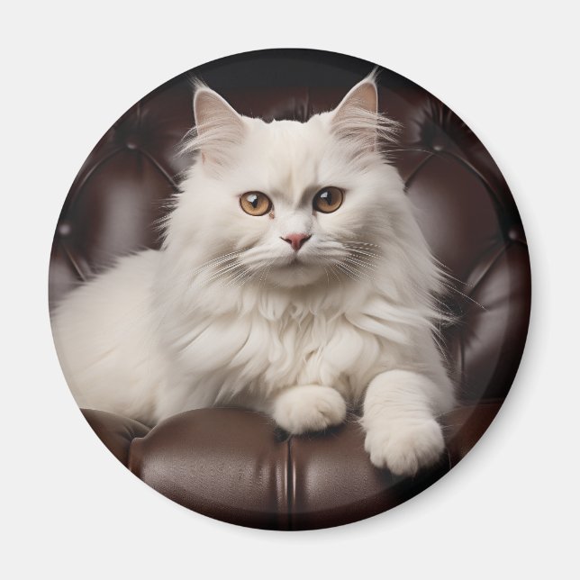 Weiße Katze Magnet (Vorne)