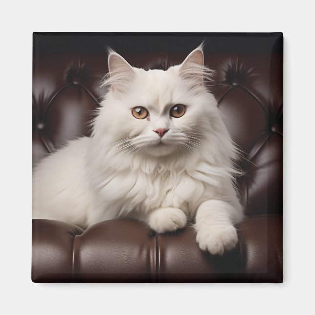 Weiße Katze Magnet (Vorne)