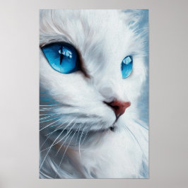 Weiße Katze mit blauen Augen Poster