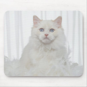 Weiße Katze mit Federn Mousepad