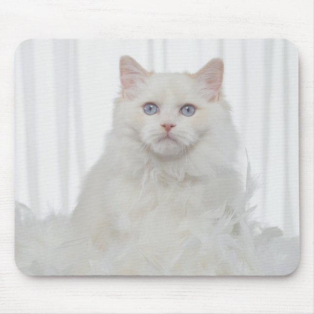 Weiße Katze mit Federn Mousepad (Vorne)