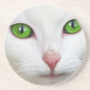 Weiße Katze mit grün grünen Augen Getränkeuntersetzer